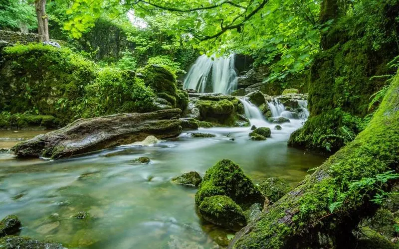 电子节能科技